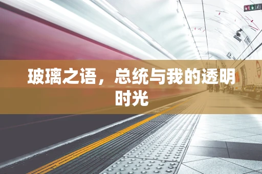 玻璃之语，总统与我的透明时光