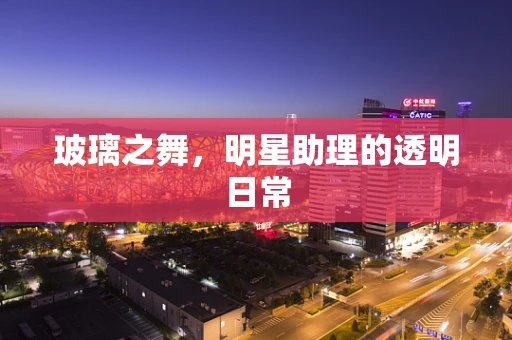 玻璃之舞，明星助理的透明日常