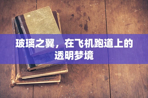 玻璃之翼，在飞机跑道上的透明梦境