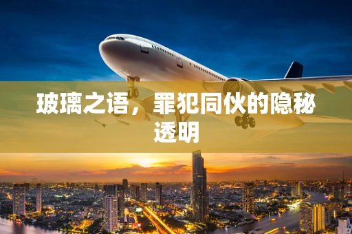 玻璃之语，罪犯同伙的隐秘透明