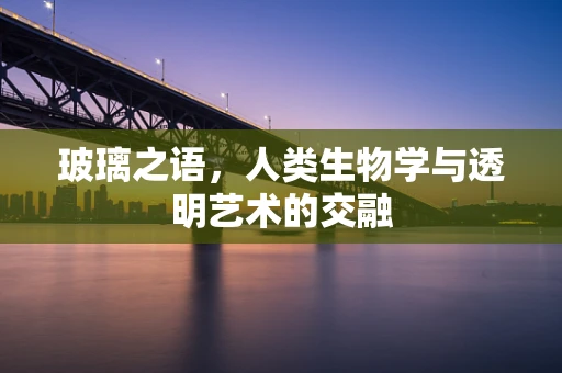 玻璃之语，人类生物学与透明艺术的交融