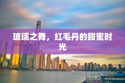 玻璃之舞，红毛丹的甜蜜时光