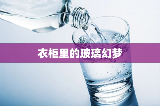衣柜里的玻璃幻梦