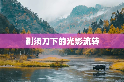 剃须刀下的光影流转