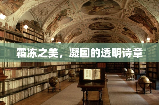 霜冻之美，凝固的透明诗章