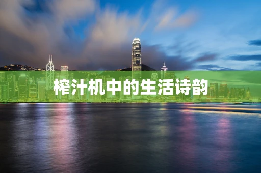 榨汁机中的生活诗韵