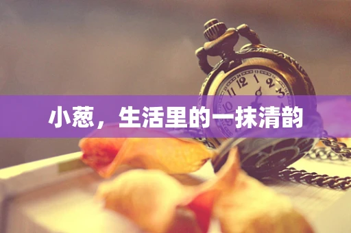 小葱，生活里的一抹清韵