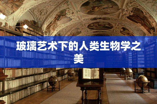 玻璃艺术下的人类生物学之美