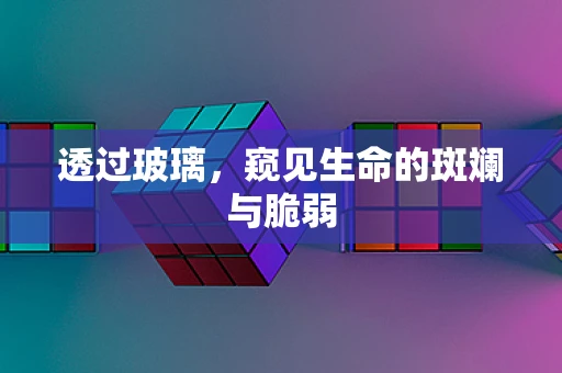 透过玻璃，窥见生命的斑斓与脆弱