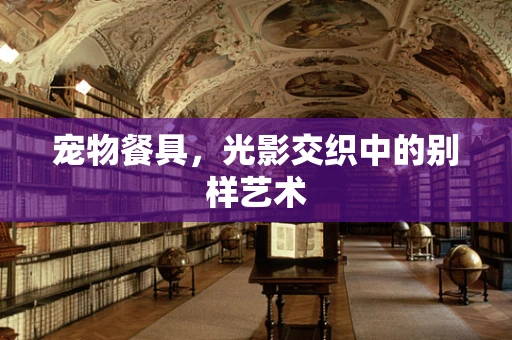 宠物餐具，光影交织中的别样艺术