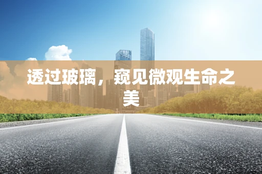 透过玻璃，窥见微观生命之美