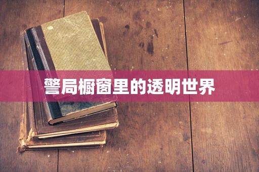 警局橱窗里的透明世界