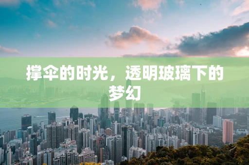 撑伞的时光，透明玻璃下的梦幻