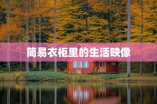 简易衣柜里的生活映像