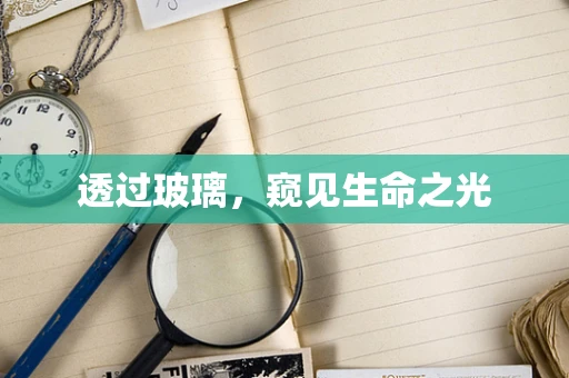 透过玻璃，窥见生命之光