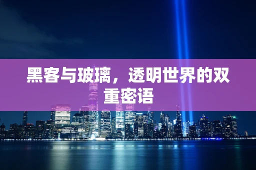 黑客与玻璃，透明世界的双重密语