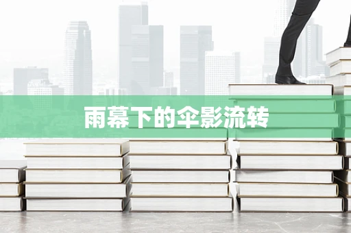雨幕下的伞影流转