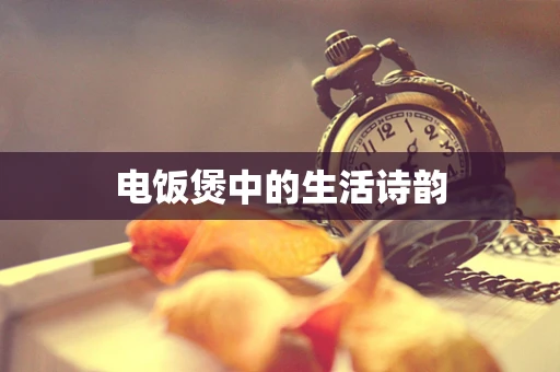 电饭煲中的生活诗韵