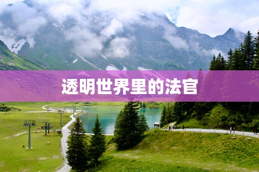 透明世界里的法官