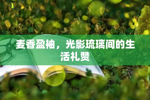 麦香盈袖，光影琉璃间的生活礼赞