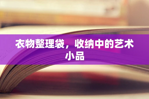 衣物整理袋，收纳中的艺术小品