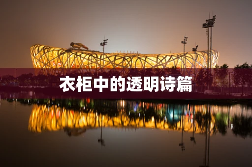衣柜中的透明诗篇