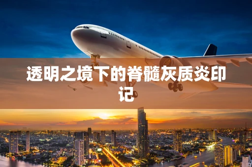透明之境下的脊髓灰质炎印记