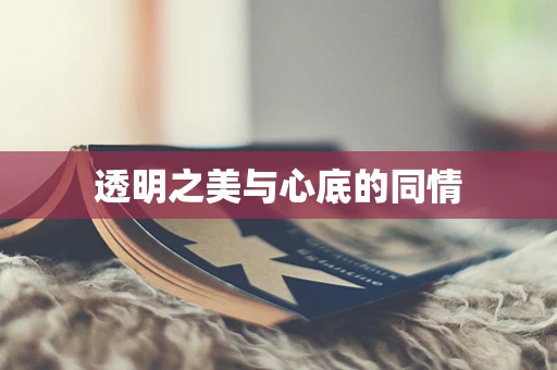 透明之美与心底的同情