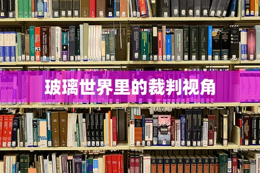 玻璃世界里的裁判视角