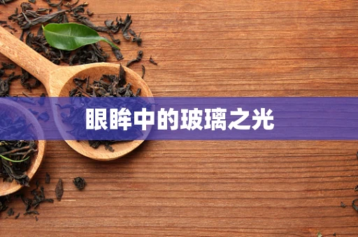 眼眸中的玻璃之光