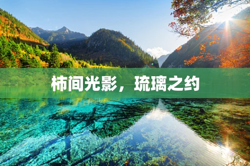 柿间光影，琉璃之约