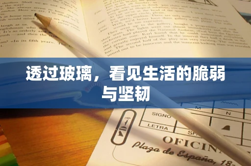 透过玻璃，看见生活的脆弱与坚韧