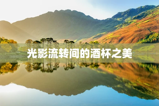 光影流转间的酒杯之美