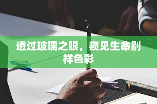 透过玻璃之眼，窥见生命别样色彩