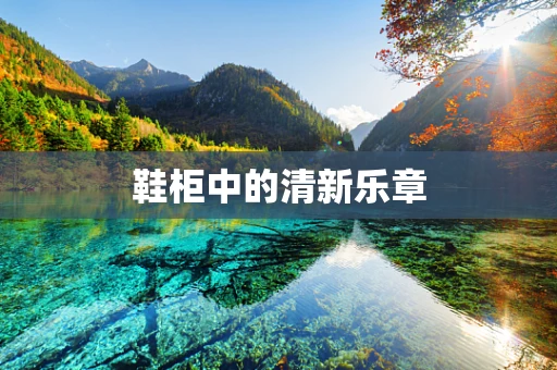 鞋柜中的清新乐章