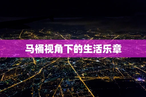 马桶视角下的生活乐章