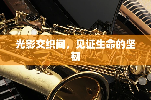 光影交织间，见证生命的坚韧