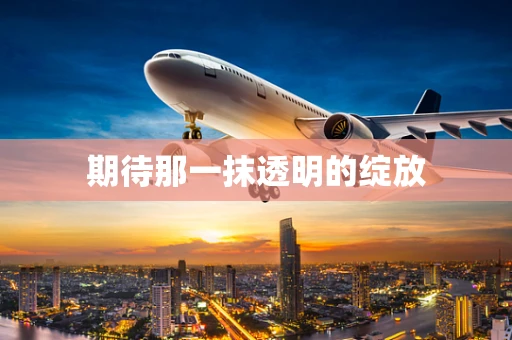 期待那一抹透明的绽放