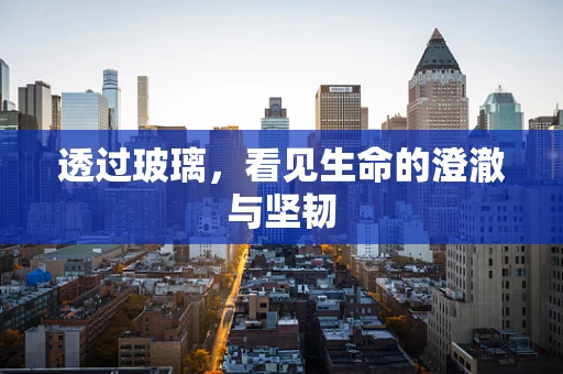 透过玻璃，看见生命的澄澈与坚韧