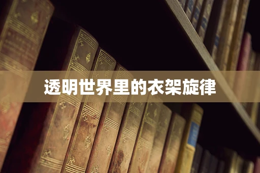 透明世界里的衣架旋律