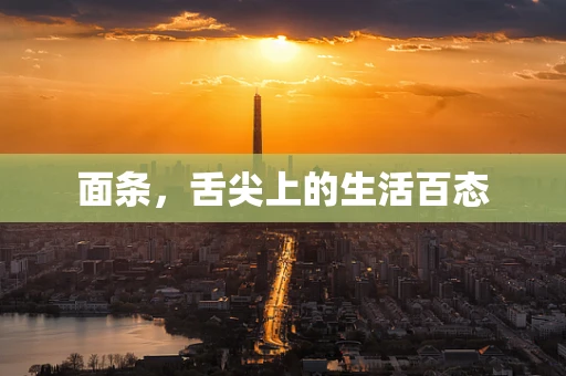 面条，舌尖上的生活百态