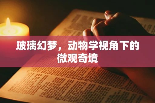 玻璃幻梦，动物学视角下的微观奇境