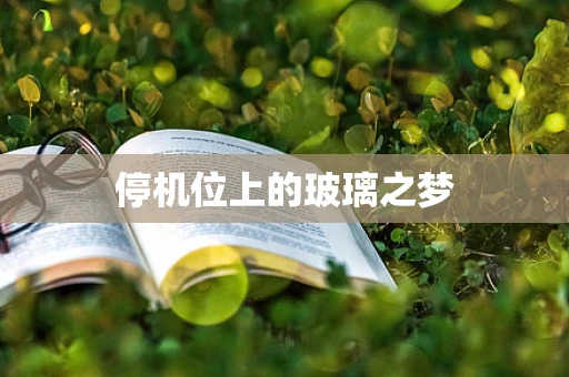 停机位上的玻璃之梦