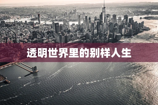 透明世界里的别样人生