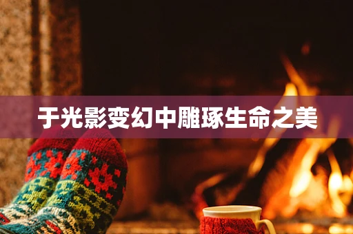 于光影变幻中雕琢生命之美