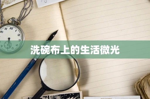 洗碗布上的生活微光