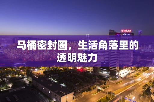 马桶密封圈，生活角落里的透明魅力