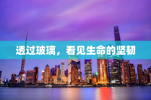 透过玻璃，看见生命的坚韧