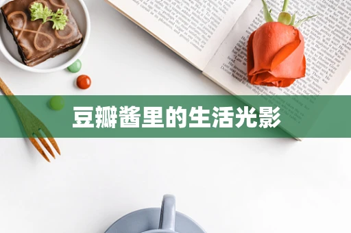 豆瓣酱里的生活光影