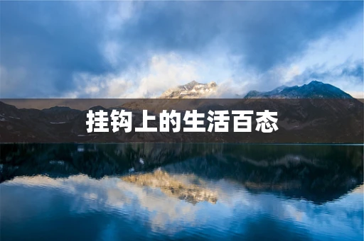 挂钩上的生活百态